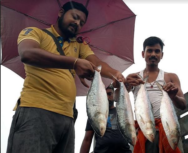 বাংলাদেশ থেকে যাওয়ার পর ভারতের পেট্রাপোল বন্দরে আজ বৃহস্পতিবার সন্ধ্যার পর প্যাকেট খুলে দেখানো হয় ইলিশ মাছ