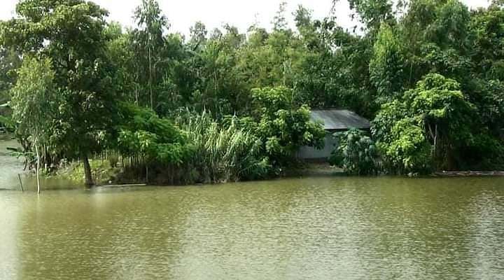 উজানের ঢল ও বৃষ্টিতে তিস্তার পানি বেড়ে নিচু এলাকা প্লাবিত হয়েছে। শনিবার সকালে কুড়িগ্রামের রাজারহাট উপজেলার ঘড়িয়ালডাঙ্গা ইউনিয়নের বুড়িরহাট এলাকায়