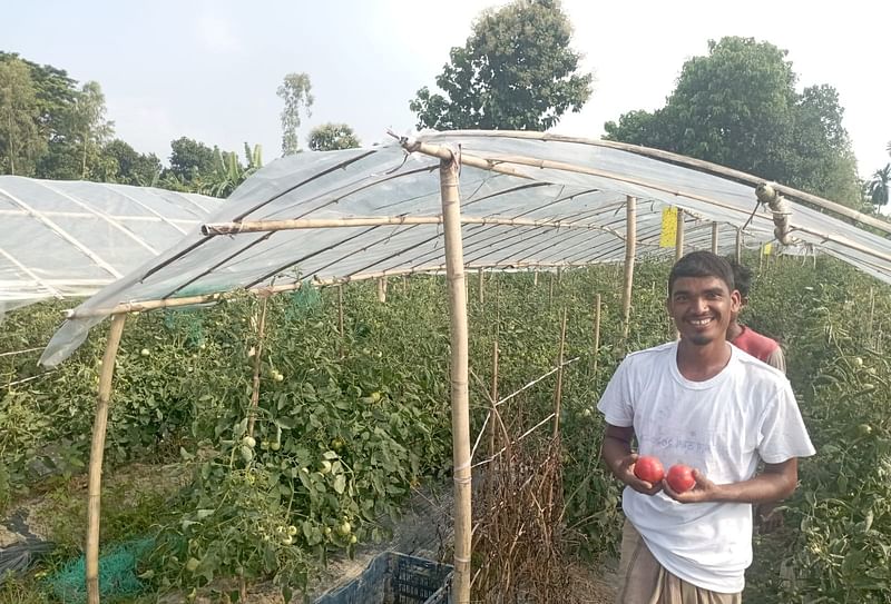 বিষমুক্ত উপায়ে সবজি চাষ করে সাফল্য পেয়েছেন পটিয়ার কচুয়াই ইউনিয়নের শ্রীমাই গ্রামের কৃষক আবদুল জব্বার