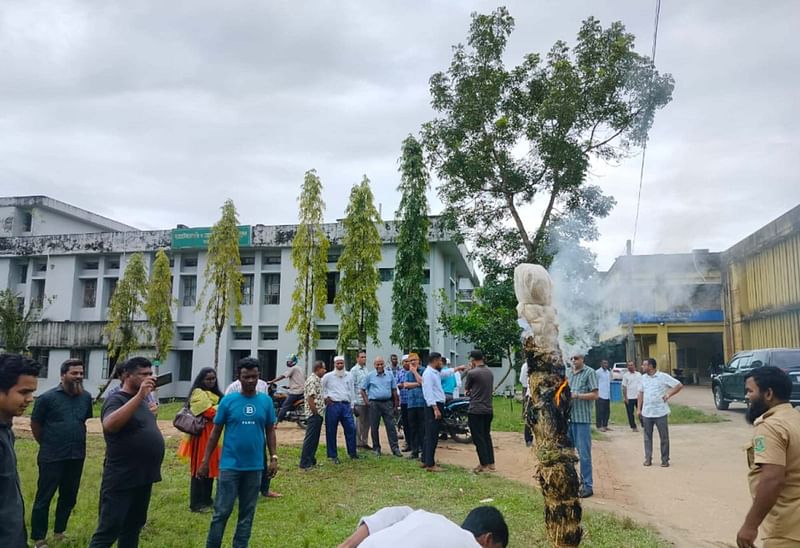 সিকৃবি প্রশাসনিক ভবনের সামনে কুশপুত্তলিকা পোড়ানো। এতে বিভিন্ন বিভাগের ছাত্র–শিক্ষকেরা অংশ নেন। বৃহস্পতিবার দুপুরে