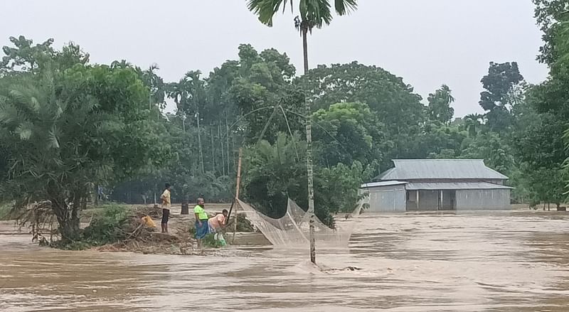 ময়মনসিংহের ধোবাউড়া উপজেলার কলসিন্দুর ঘাটপাড়ে নেতাই নদের বাঁধ ভেঙে অনেক এলাকা প্লাবিত হয়েছে