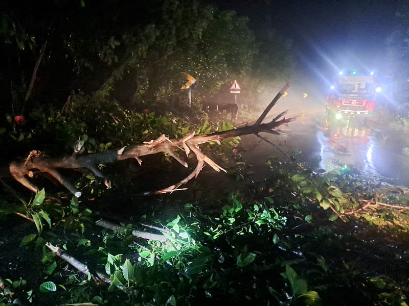 রাজবাড়ী-কুষ্টিয়া আঞ্চলিক মহাসড়কে গাছ ফেলে যানবাহনে ডাকাতির ঘটনা ঘটেছে। শনিবার রাতে রাজবাড়ীর পাংশা উপজেলার পাছপাড়া গোপালপুর শিহর আমতলী এলাকায়