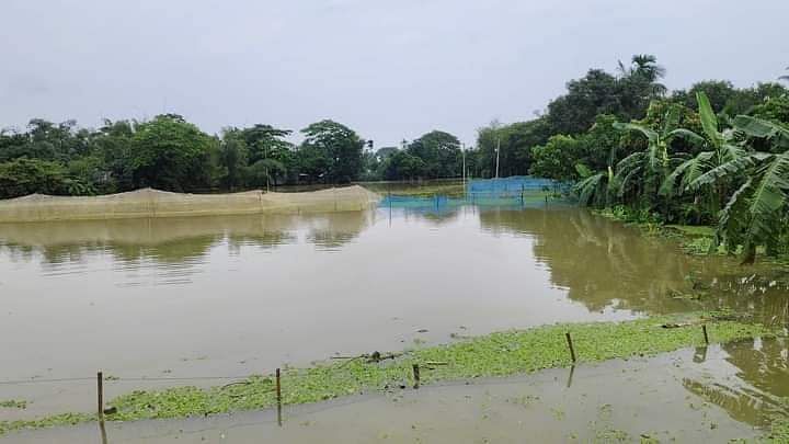 জাল দিয়ে ঘিরেও পুকুরের মাছ রক্ষা করা যায়নি। আকষ্কিক বন্যায় ভেসে গেছে নেত্রকোনার পাঁচ উপজেলার কয়েক হাজার পুকুরের মাছ। গতকাল কলমাকান্দা উপজেলার চানদুয়াইল এলাকায়