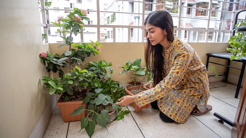 এডিস মশা থেকে সুরক্ষা পেতে বাসায় ফুলের টব থাকলে সেগুলোর নিয়মিত পরিচর্যা করুন। মডেল: কাব্য