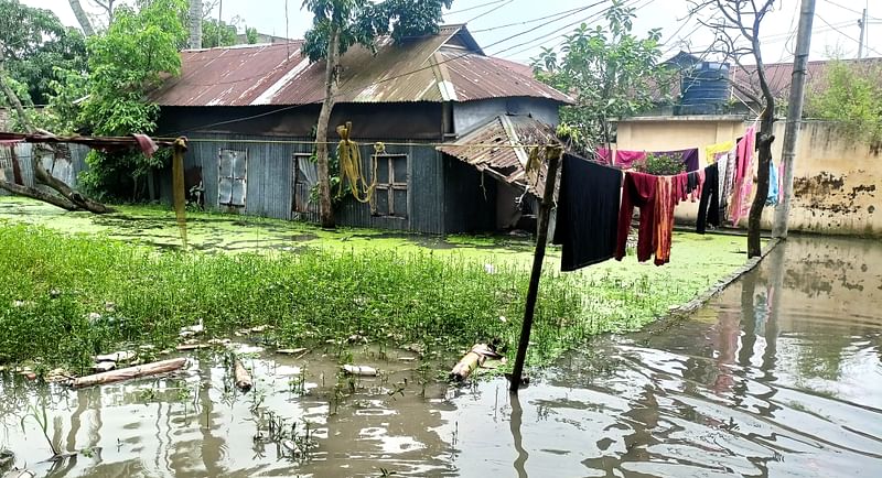 বৃষ্টির পানি বাড়ির উঠানে পেরিয়ে প্রবেশ করেছে ঘরেও। গতকাল বৃহস্পতিবার জামালপুর পৌর শহরের দড়িপাড়া এলাকায়