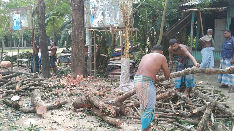 চর জব্বর ইউনিয়ন পরিষদের গাছ কেটে বিক্রি করা হচ্ছে। গতকাল নোয়াখালীর সুবর্ণচর উপজেলার চর জব্বর ইউনিয়ন পরিষদ কমপ্লেক্স প্রাঙ্গণে