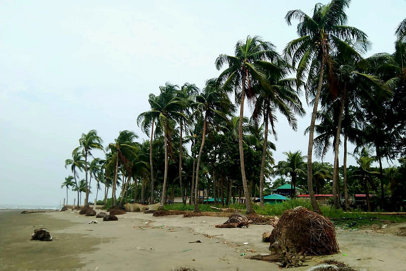 কক্সবাজারের সেন্ট মার্টিন দ্বীপের সারি সারি নারকেল গাছ। গত কয়েক বছরে অপরিকল্পিত স্থাপনা নির্মাণ ও মড়কে উজাড় হচ্ছে নারিকেল গাছ। দ্বীপের পূর্বপাড়া থেকে ৯ অক্টোবর দুপুরে