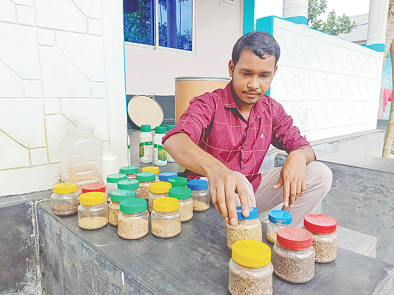 আবু হানিফার সংগ্রহে বিলুপ্ত প্রজাতির ধান। ময়মনসিংহের মুক্তাগাছা উপজেলার পারুলীতলা গ্রামে