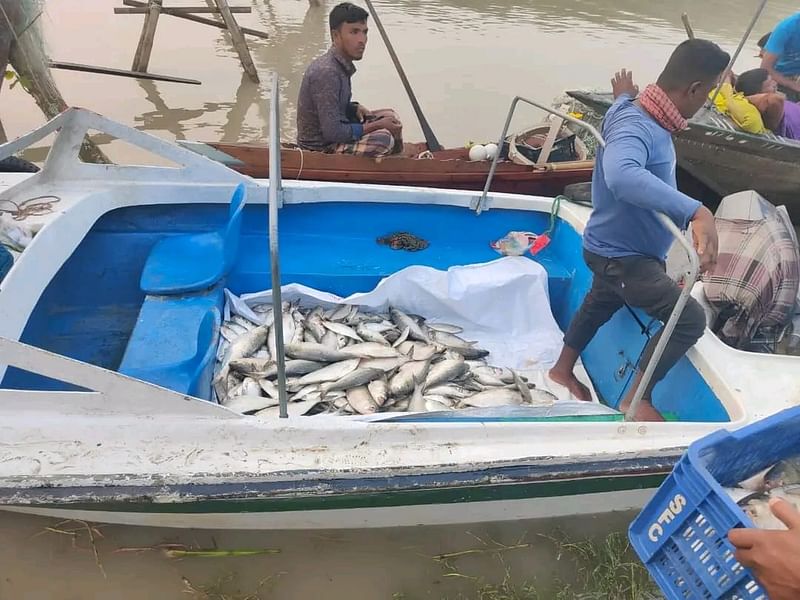 মেঘনা নদী থেকে ধরে আনা ইলিশ স্পিডবোটে করে বিভিন্ন স্থানে পাচারের প্রস্তুতি চলছে। গত বৃহস্পতিবার সকাল হিজলার জানপুরে