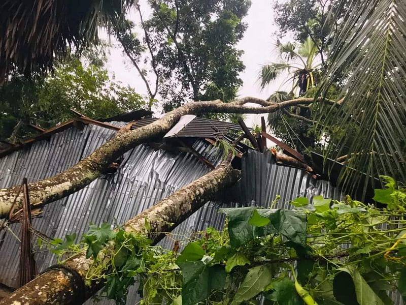 পটুয়াখালীর কলাপাড়ার তাহেরপুর গ্রামে টর্নেডোতে এক বাসিন্দার বসতঘরের চালের ওপর গাছ উপড়ে পড়ে ক্ষতিগ্রস্ত হয়