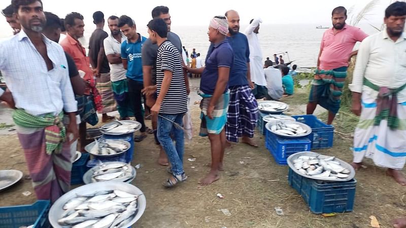 সরকারি নিষেধাজ্ঞা অমান্য করে অস্থায়ী হাট ও বাজার বসিয়ে ইলিশ বিক্রি করছেন জেলেরা। গতকাল বিকেলে মাদারীপুরের শিবচর উপজেলার পদ্মা নদীসংলগ্ন পুরানকান্দি এলাকায়