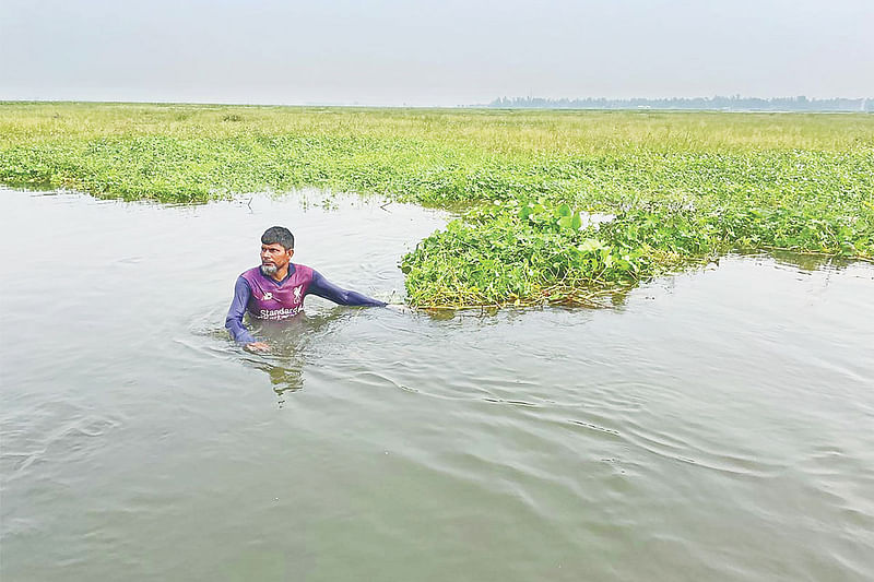 চলনবিলের নাটোর অংশের দুটি স্থানে দেশি মাছ সংরক্ষণে ৩৬ বিঘা আয়তনের দুটি দিঘি খনন করা হয়েছে