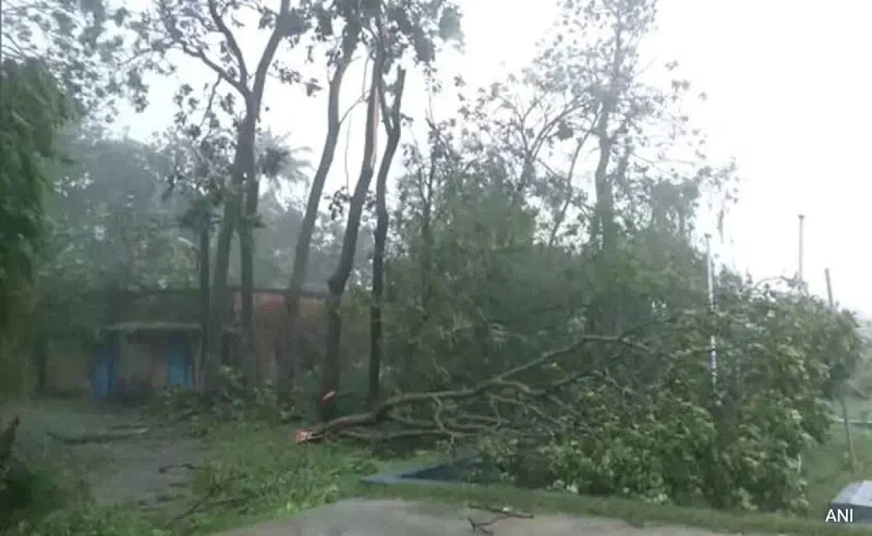 ঘূর্ণিঝড় দানার কারণে ওডিশার জেলাগুলোতে ভারী বৃষ্টি ও ঝোড়ো বাতাস বইছে