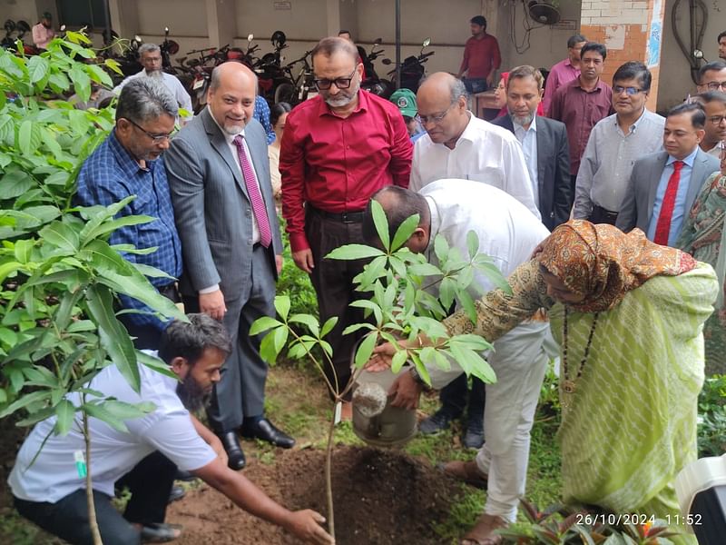 ঢাকা বিশ্ববিদ্যালয়ের বিজনেস স্টাডিজ অনুষদ চত্বরে গাছের চারা রোপণের মধ্য দিয়ে বৃক্ষরোপণ কর্মসূচি-২০২৪ শুরু করা হয়