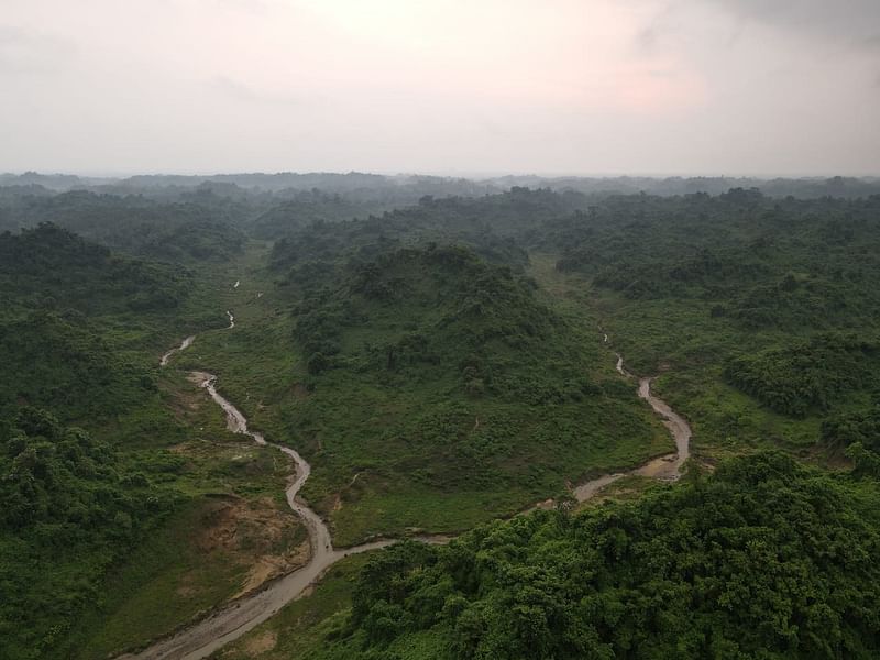 চট্টগ্রামের লোহাগাড়া ও সাতকানিয়ার বড় হাতিয়ার বনের ছড়ার বাঁধ কেটে দখলমুক্ত করা হয়েছে আট মাস আগে। পানি সরে যাওয়ার পর সেই বনে এখন প্রাকৃতিক ঘাস ও নানা গুল্প জন্মেছে। পুরো বনটি এখন সবুজে ঢাকা