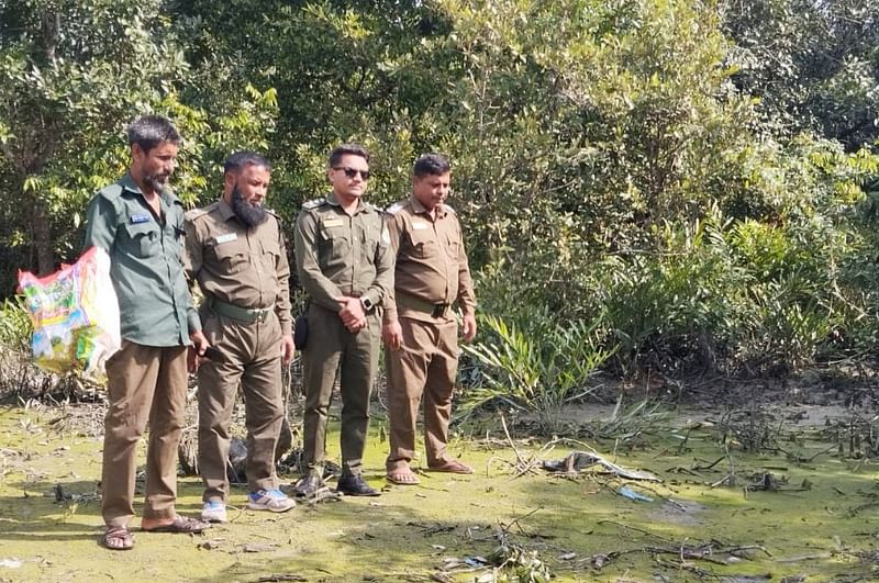 লোকালয় থেকে উদ্ধারের পর অজগরটি সুন্দরবনে অবমুক্ত করেন বনরক্ষীরা। আজ বুধবার সকালে সুন্দরবনের শাকবাড়িয়া টহল ফাঁড়িসংলগ্ন এলাকায়