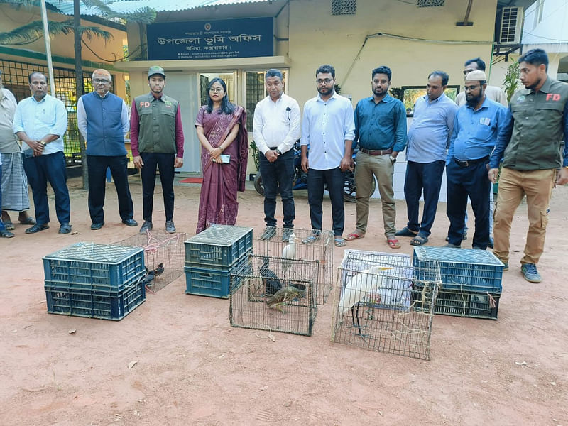 শিকারির ফাঁদ থেকে উদ্ধার হওয়া পাখি। আজ রোববার বিকেলে