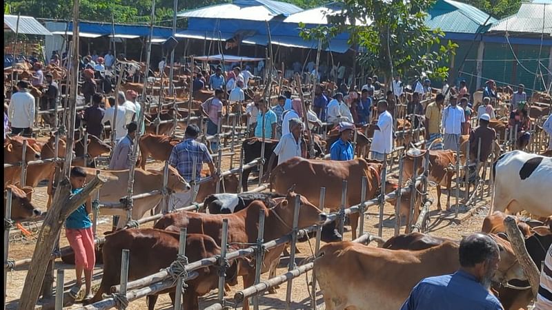 নোয়াখালীর হাতিয়ার হরণী ইউনিয়নের হাতিয়া বাজারের গরুর হাট। গতকাল মঙ্গলবার দুপুরে তোলা