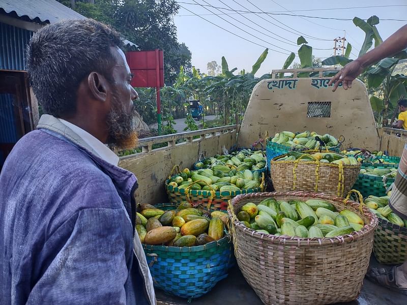 খেত থেকে বিক্রির জন্য ঝুড়ি বোঝাই করে ট্রাকে তোলা হচ্ছে দেশি ক্ষীরা। গতকাল সকালে চট্টগ্রামের মিরসরাইয়ের সৈয়দালিতে