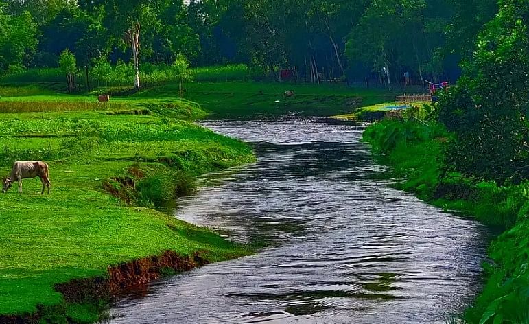 ঠাকুরগাঁও জেলার সদর উপজেলার রায়পুর ইউনিয়নের ভাউলার হাটে তীব্র স্রোতে বয়ে চলছে ভক্তি নদী