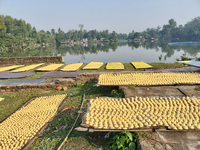 কুমড়ার বড়ি শুকানোর কাজ চলছে। সিরাজগঞ্জের রায়গঞ্জ উপজেলার নওগাঁ এলাকায়