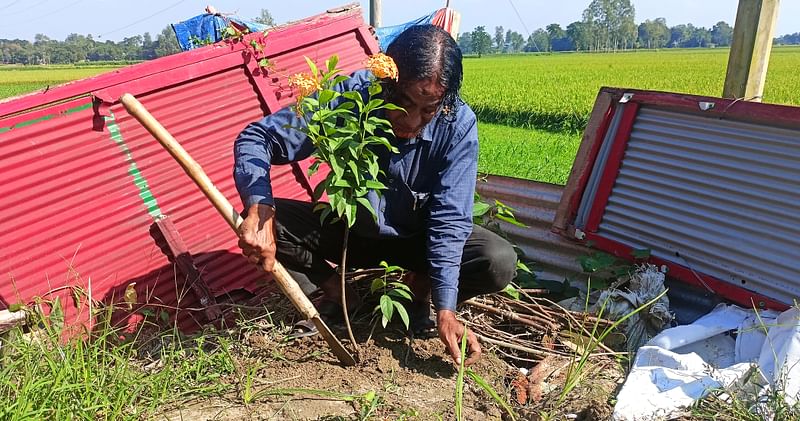 ফসলি মাঠের পাশে গাছের চারা লাগাচ্ছেন জুলফিকার আলী। সম্পতি জামালপুরের মেলান্দহ উপজেলার ছবিলাপুর এলাকায়