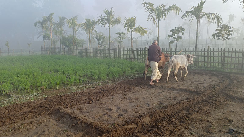 মৌসুমের সর্বনিম্ন তাপমাত্রা রেকর্ড পঞ্চগড়ে