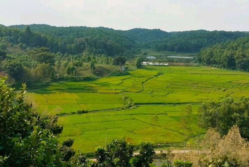 প্রাকৃতিক সৌন্দর্যের লীলাভূমি শেরপুরের ঝিনাইগাতী উপজেলার গারো পাহাড়