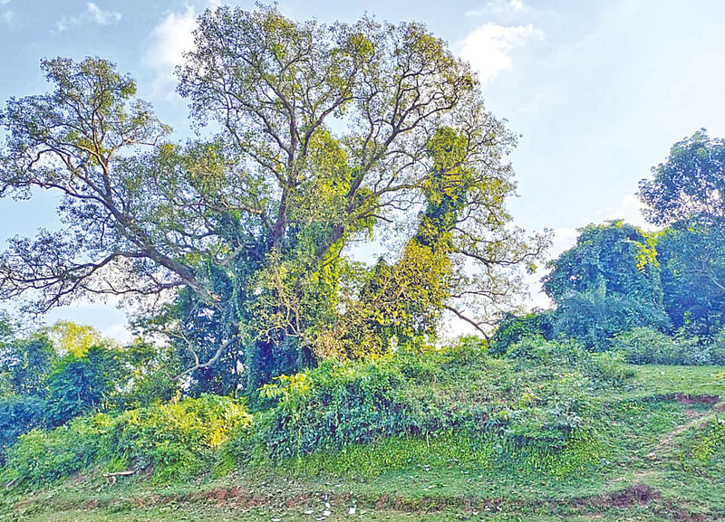 বিরাট রাজার বাড়ির স্থাপনা, যা বুরুজ নামে পরিচিত। সিরাজগঞ্জের রায়গঞ্জে।