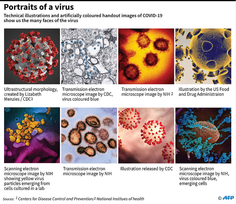 Graphic showing various images of COVID-19, released by the US science agencies.