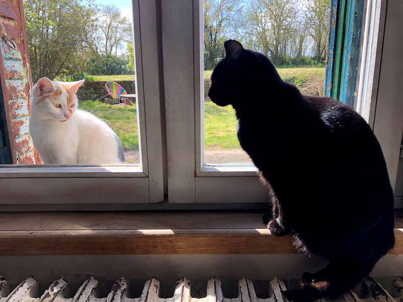 A domestic black cat looks at a cat sitting outside the window, in the village of Blecourt during a lockdown imposed to slow the rate of the coronavirus disease (COVID-19) spread in France, 29 March 2020.