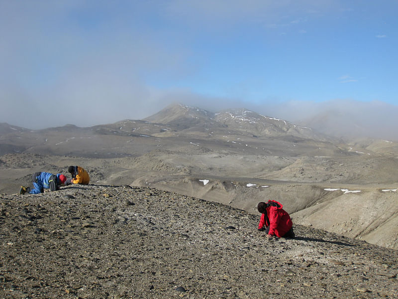 Paleontologists working at the site on Antarctica's Seymour Island where fossils of an Eocene frog were discovered are seen in this photo released on 24 April 2020 in Stockholm, Sweden.