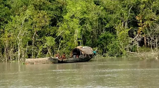 The Sundarbans