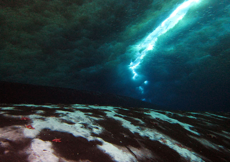 Clusters of microbes are seen on the bottom of the ocean floor in the Ross Sea, indicating a methane seep, as a crack in the ice above lets in light, in Antarctica, in this handout photo taken in 2016. Antarctic Methane Seeps/Andrew Thurber/Handout via REUTERS