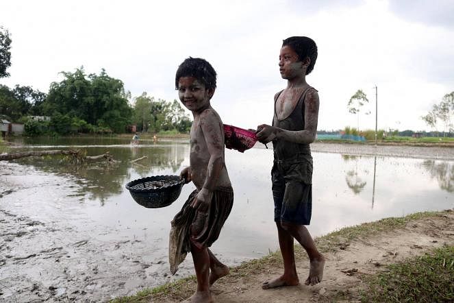 Two children catch fish at Kamdebpur, Rangpur on 17 July 2020.