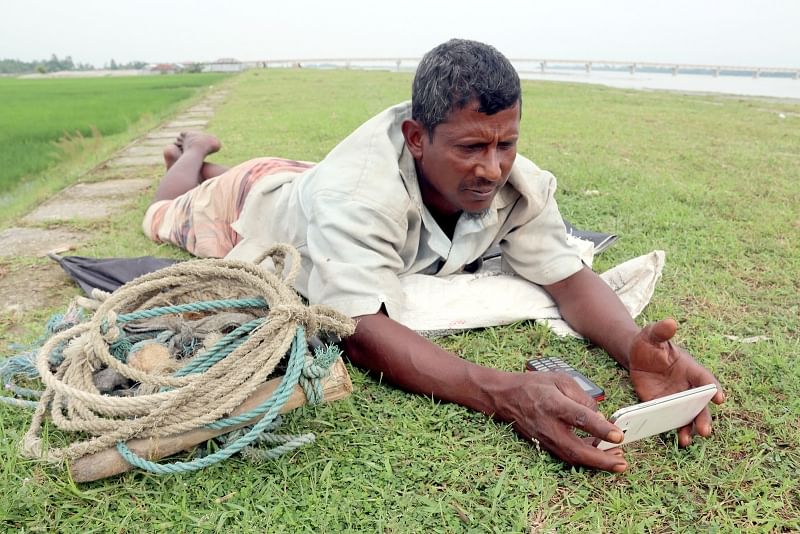 Farmer Anwarul Islam is engrossed in his mobile phone while his cattle are grazing in the field in the Mahipur area of Gangachara, Rangpur