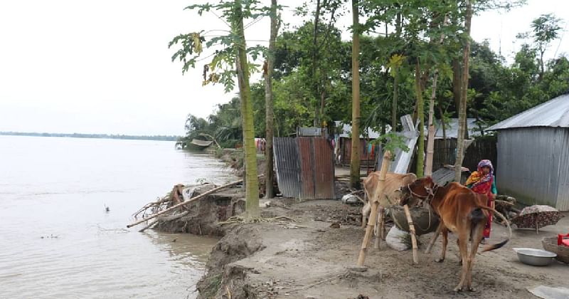 Fifth phase flood leaves around 60,000 people marooned in Kurigram