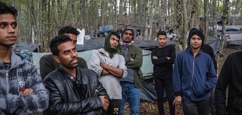 Bangladeshi undocumented migrants trapped in a Bosnian forest