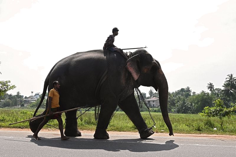 Young Sri Lankans march ahead with massive optimism for the future