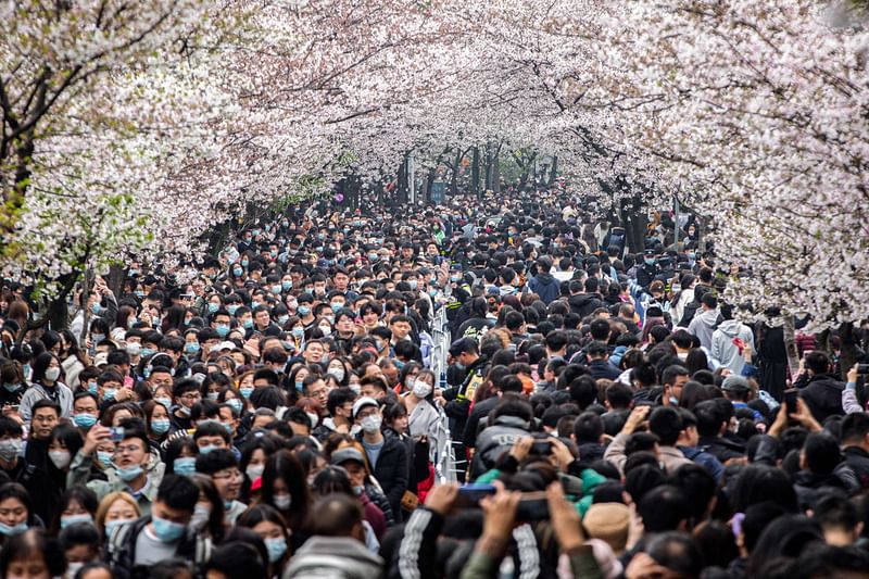 This photo taken on 20 March 2021 shows people viewing cherry blossoms in Nanjing in China's eastern Jiangsu province