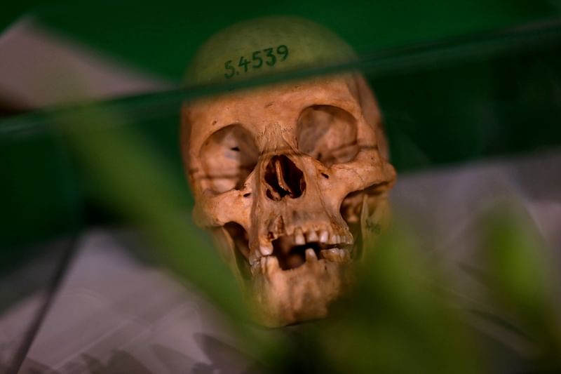 Human skulls from the Herero and ethnic Nama people are displayed during a ceremony in Berlin, Germany, 29 August, 2018, to hand back human remains from Germany to Namibia following the 1904-1908 genocide against the Herero and Nama