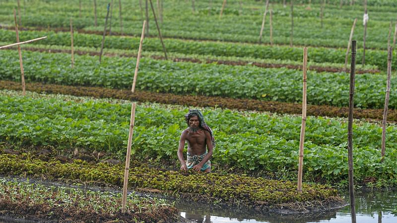 In this photograph taken on 26 September 2021, a farmer standing in an inundated field checks on vegetables growing on seed beds, made of stack layers of water hyacinth and bamboo tied together by their roots to create a raft, in Mugarjhor some 200 kilometres (120 miles) south of Dhaka