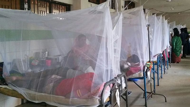 Dengue patients under treatment at a Dhaka hospital