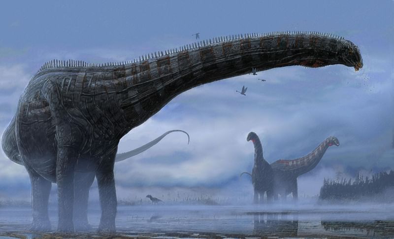 This illustration released on 11 February 2022 shows dinosaur nicknamed "Dolly" suffered from respiratory infections similar to those that plague today's birds, as revealed by the study of fossils of a 150-million-year-old specimen