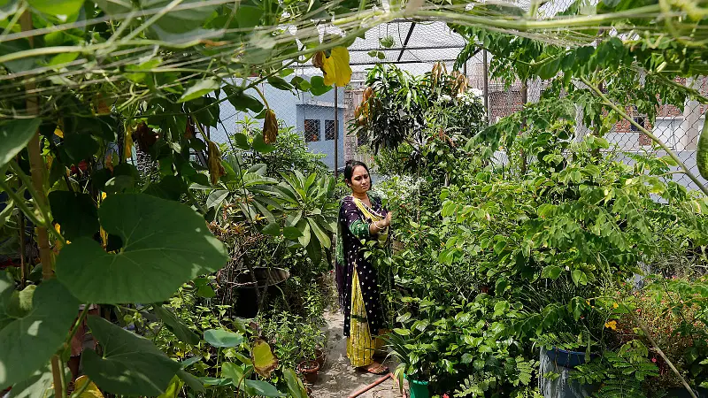 Sanchita Basak at her rooftop garden in Jhulonbari, Old Dhaka