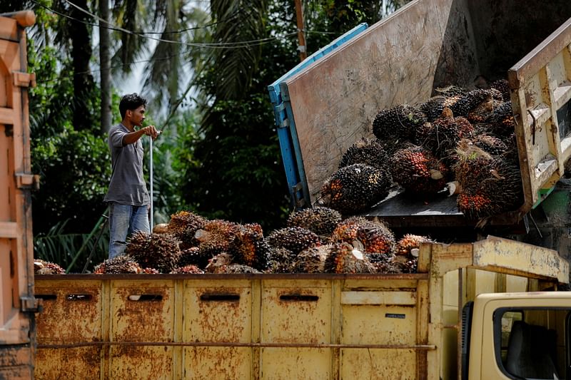 A worker stands as fresh fruit bunches are unloaded to be distributed from the collector site to CPO factories, as Indonesia announced a ban on palm oil exports effective this week in Kampar regency, Riau province, Indonesia.