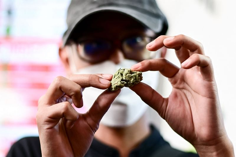 A man looks at a dried cannabis flower for sale at the Highlands cafe in Bangkok on 9 June, 2022