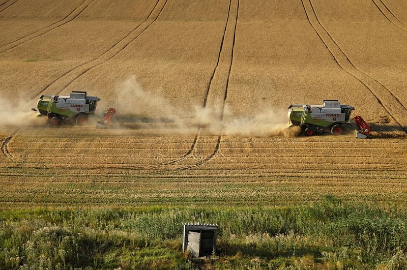 Combines harvest wheat in a field near the village of Suvorovskaya in Stavropol Region, Russia on 17 July 2021