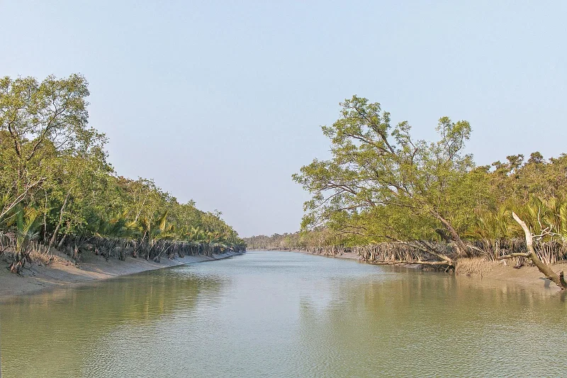 Sundarbans