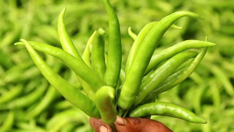 Green chilli